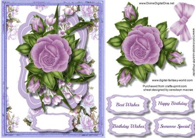 Beautiful Roses and Blossom 