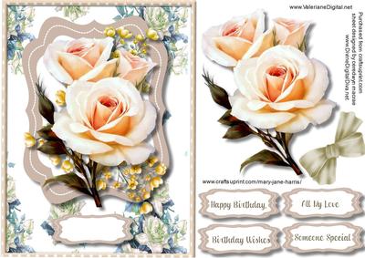 Beautiful Cream Roses and Blossom Buff