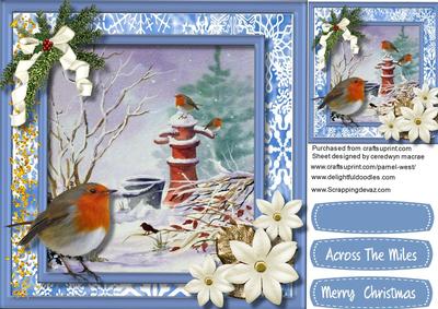 Beautiful Robins on the Water Pump 