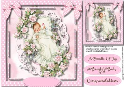 A Beautiful Bundle of Joy for a Girl