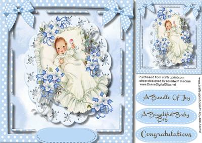 A Beautiful Bundle of Joy for a Boy 