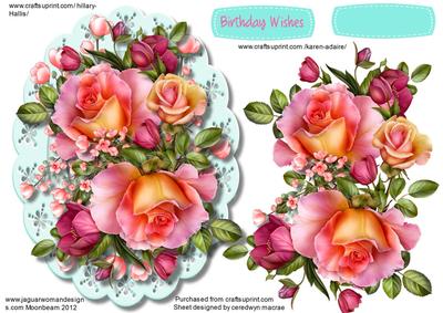 Beautiful Pink Roses and Blosson on Lace 