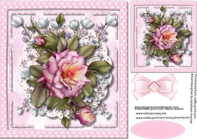 Beautiful Pink Roses and Pearl Blossom 