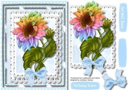 Beautiful Rainbow Sunflower on Lace 