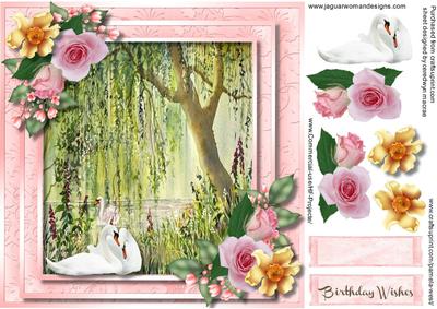Beautifu Swans on the River Bank 