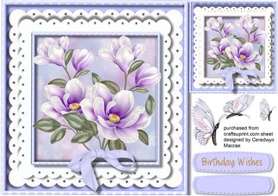 Beautiful Lilac Magnolias on Double Lace