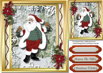 Santa Feeding the Robins 