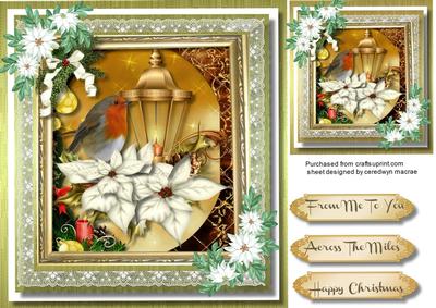 Christmas Robin and White Poinsettias, 