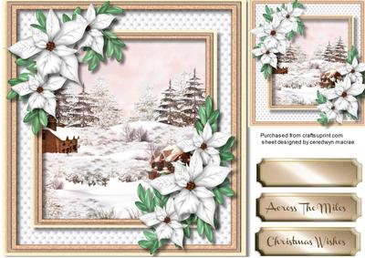 Beautiful Snowscene and White Poinsettias