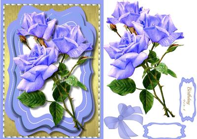 Lovely Lilac Roses Ina Bracket Frame 