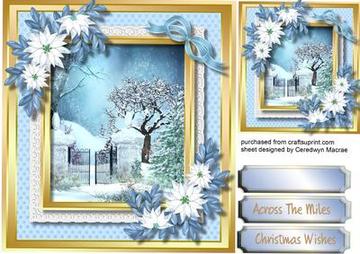 Lovely Garden Gates and Poinsettias 