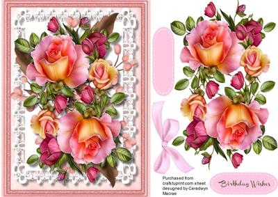 Beautiful Roseglow Roses on Stunning Lace