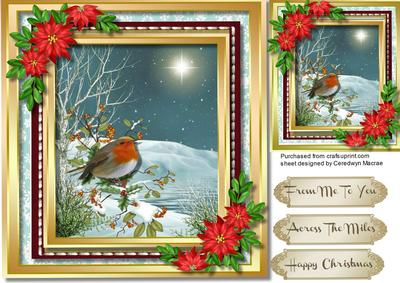 Beautiful Robin on the Branch 