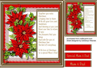 To a Special Mum & Dad at Christmas 