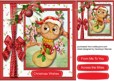 Christmas Owl and His Stocking 