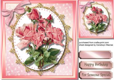 Beautiful Pink Roses 2