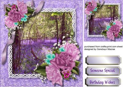 Beautiful Bluebell Woods and Roses 