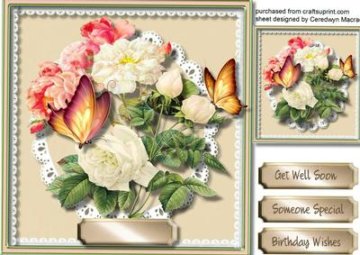 Lovely Floral Roses in a Buff Scalled Frame