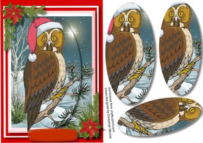 Night Owl on a Branch with His Santa Clause Hat 