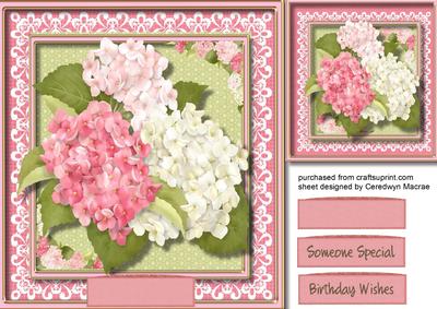 Beautiful Hydrangers on Celtic Lace 