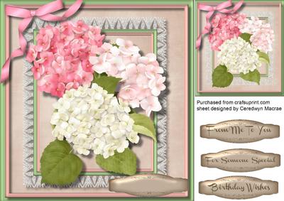 Pink and Cream Hydrangers 