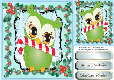 Lovely Christmas Owl with His Candy Cane 
