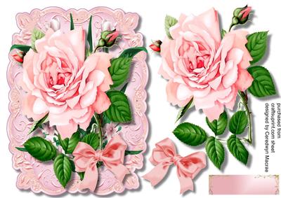 Beautiful Pink Roses on a Leafy Lace Mat 