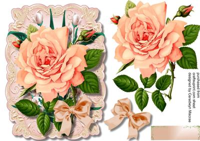 Beautiful Peach Roses on a Leafty Lace Mat 