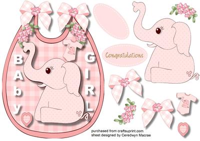 Cute Baby Girl Bib 