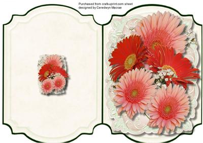 Print and Cut , Beautiful Gerbera's and Baby's Breat