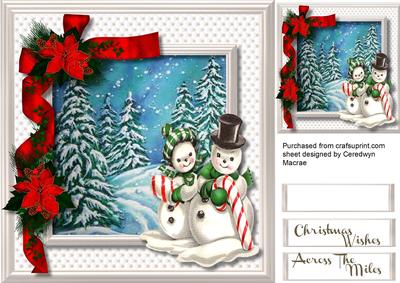 Lovely Snow Couple and Poinsettias 