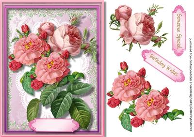 Beautiful Cerise Roses on Lace .