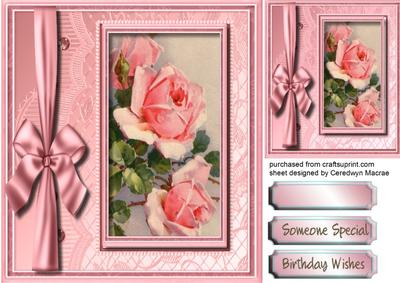 Beautiful Pink Klein Roses 