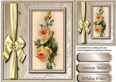 Beautiful Yellow Klein Roses 