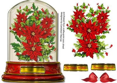 Beautiful Snow Globe , with Poinsettias and Holly 