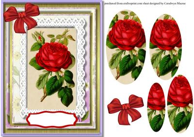 Beautiful Red Roses on Lace 