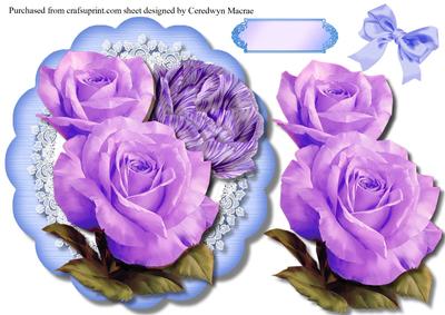 Beautiful Shades of Lilac 