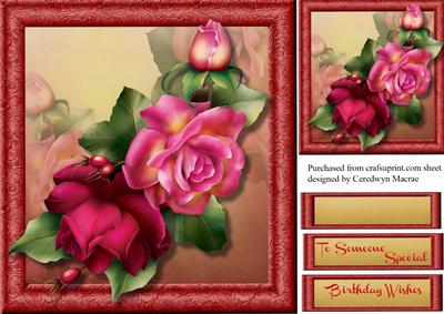 Beautiful Vibrant Roses 