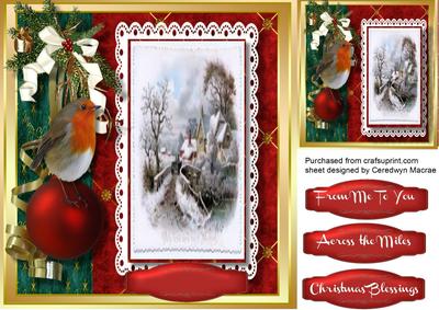 Beautiful Robin on a Bauble 