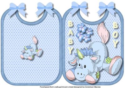 Ooops-a-daisy, Baby Boy Bib 