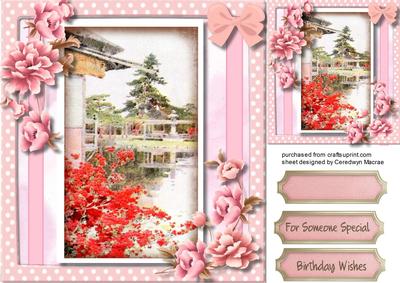 Beautiful Japanese,water Garden 4