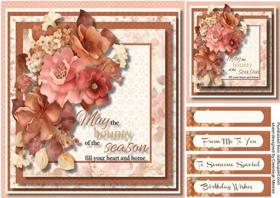 Beautiful Autumnal Roses
