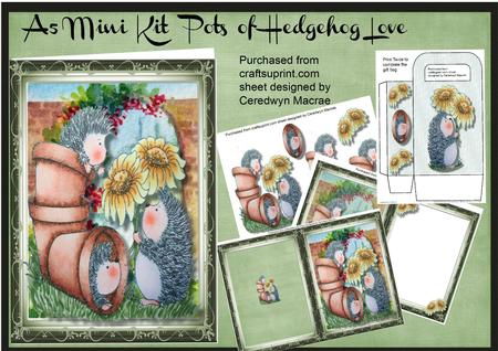 A5 Mini Kit , Pots of Hedgehog Love 