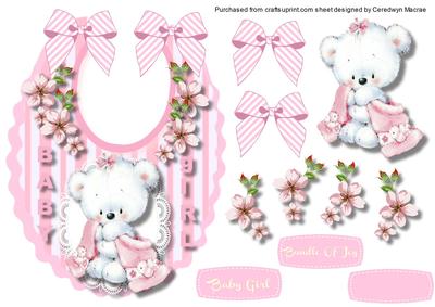 Girls Baby Bib ,for a Bundle of Joy