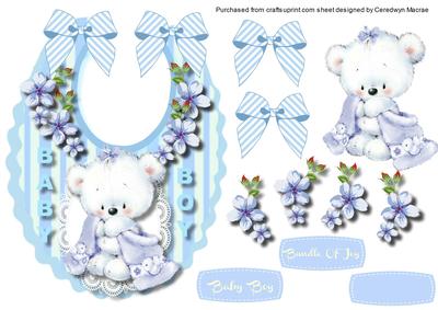 Boys Baby Bib , for a Bundle of Joy