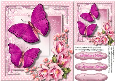 Lovely Butterfly's and Flowers 2