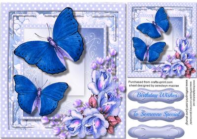 Lovely Butterfly's and Flowers 3