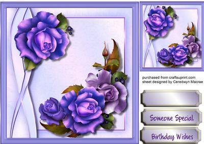 Beautiful Lilac Roses on a Geometric Frame 