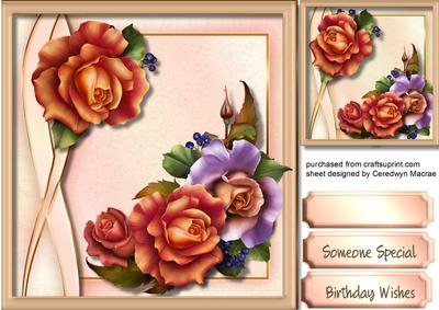 Beautiful Orange and Lilac Roses in a Geometric Frame 