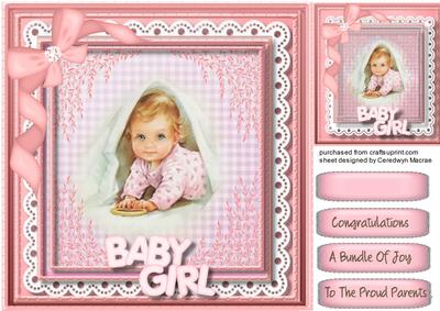 Peek-a- Boo a Baby Girl